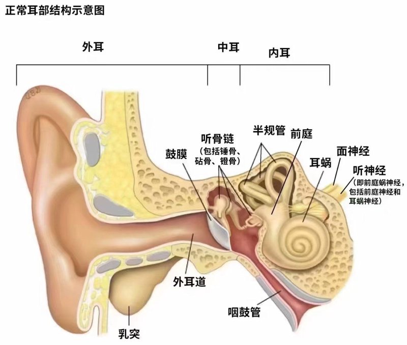 凉山耳鼻喉医院究竟在哪儿?
